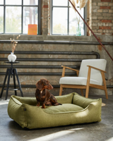 Chester & Lee | Cotton Sleeper Dog Bed Olive - Chester & Lee - Flyclothing LLC