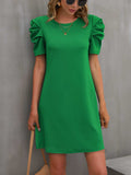 Round Neck Puff Sleeve Mini Dress - Trendsi - Flyclothing LLC