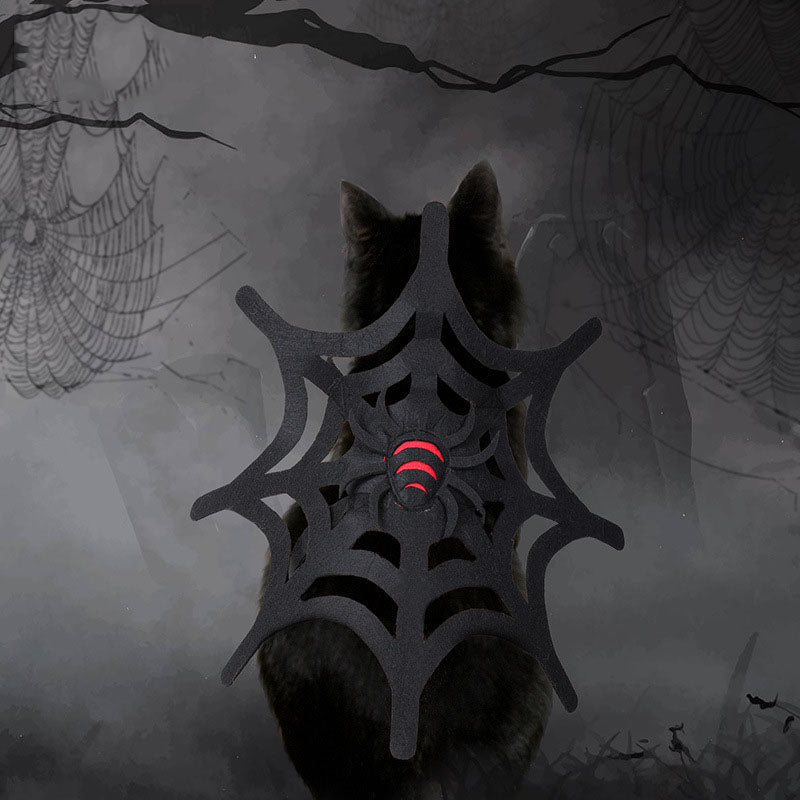 Halloween Cat Dog Spider Web Makeover - My Store - Flyclothing LLC