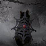 Halloween Cat Dog Spider Web Makeover - My Store - Flyclothing LLC