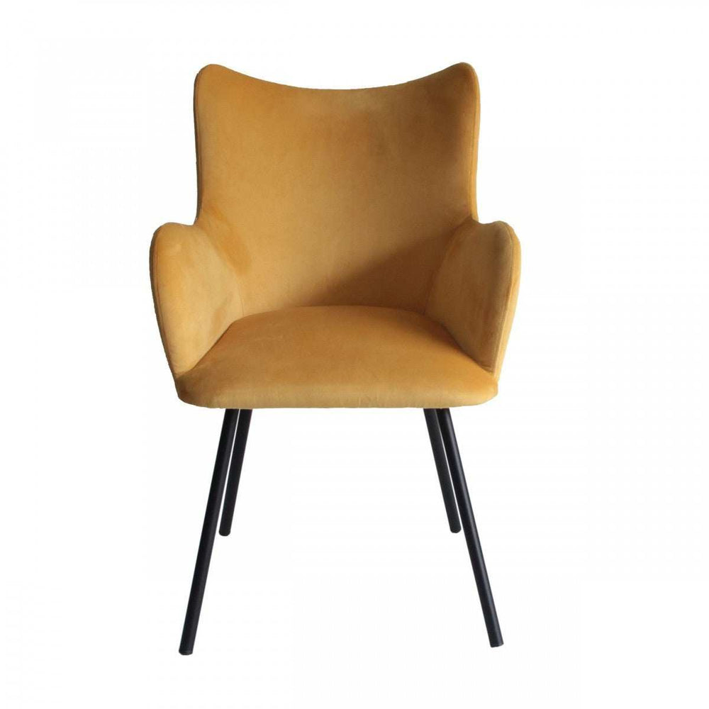 Yellow Curvy Velvet and Black Modern Dining Chair - Homeroots - Flyclothing LLC