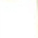Set of Two 84" Gold Solid Modern Window Panels - Homeroots - Flyclothing LLC