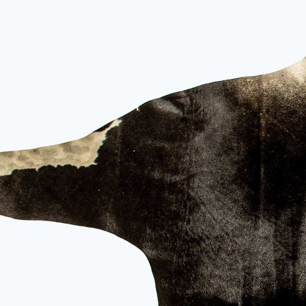 5' X 7' Grey Normande Cowhide Ombre Cowhide Handmade Area Rug - Homeroots - Flyclothing LLC