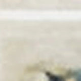 8' Runner Ivory Oriental Runner Rug - Homeroots - Flyclothing LLC