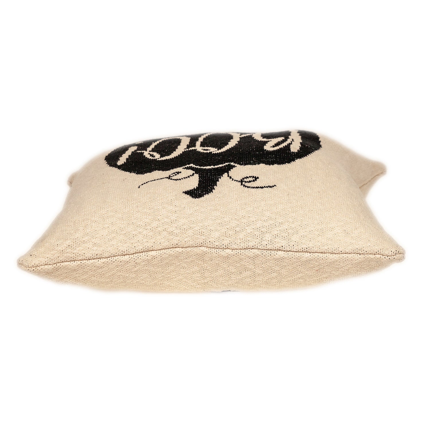 20" x 20" Cream Black Pumpkin Boo Square Accent Throw Pillow - Homeroots - Flyclothing LLC