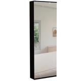 Stylish Black Wengue  Wall Mounted Shoe Rack with Mirror - Homeroots