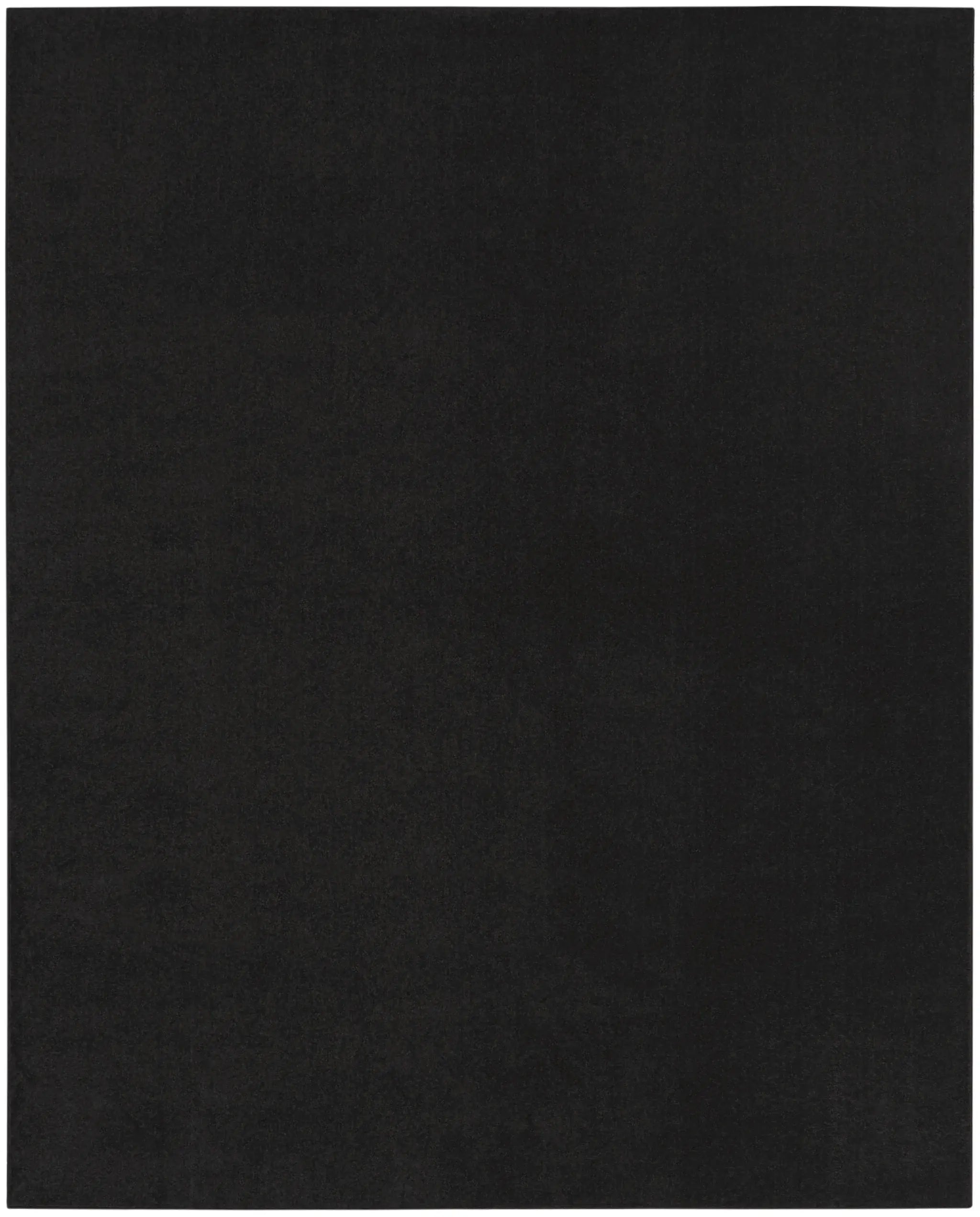 10' X 14' Black Stain Resistant Indoor Outdoor Area Rug - Homeroots - Flyclothing LLC