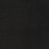 4' X 6' Black Stain Resistant Indoor Outdoor Area Rug - Homeroots - Flyclothing LLC