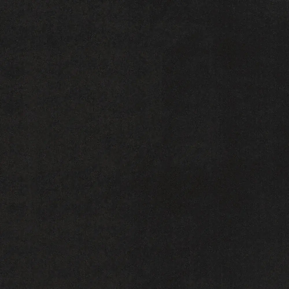 4' X 6' Black Stain Resistant Indoor Outdoor Area Rug - Homeroots - Flyclothing LLC
