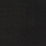 4' X 6' Black Stain Resistant Indoor Outdoor Area Rug - Homeroots