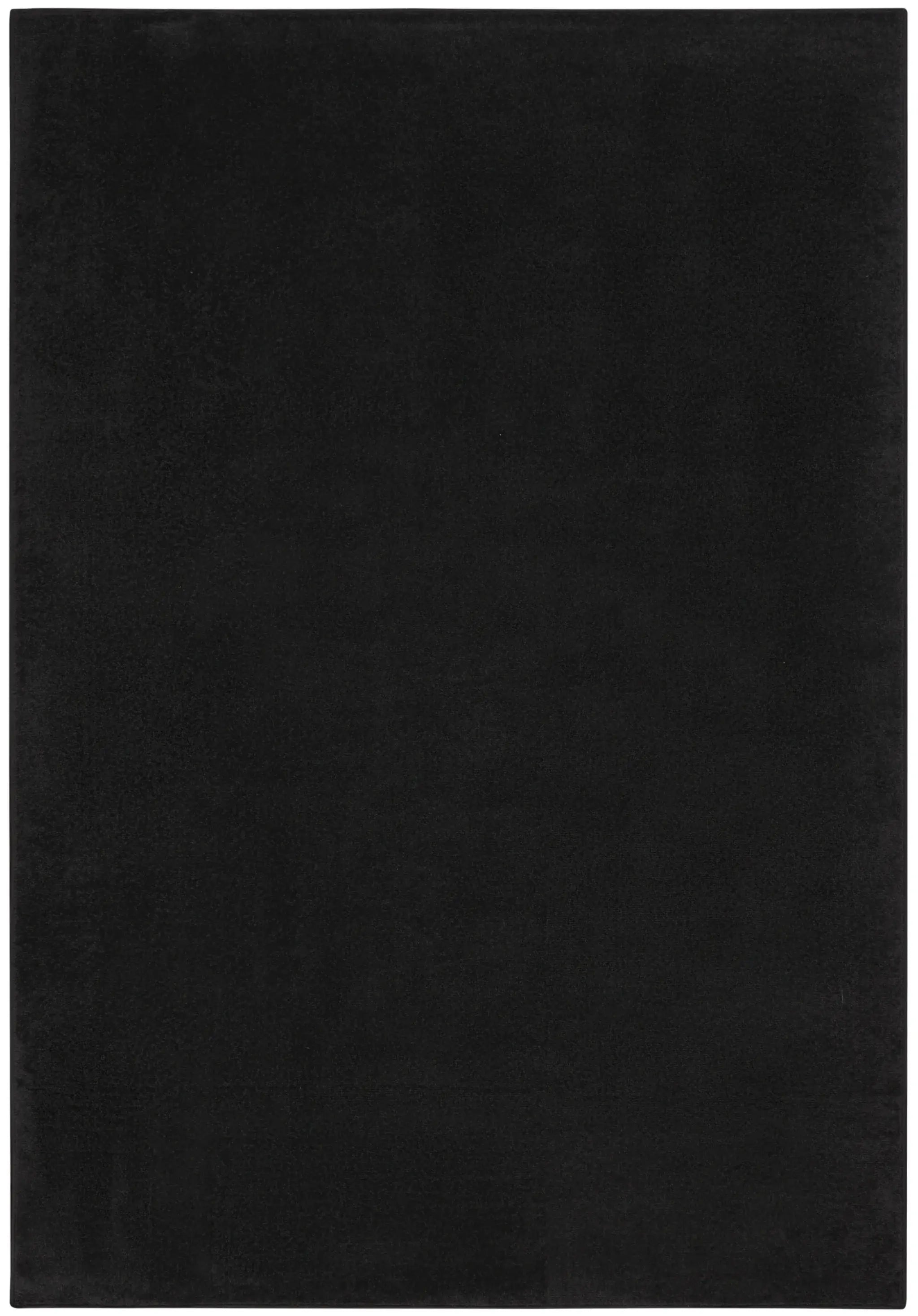 5' X 7' Black Stain Resistant Indoor Outdoor Area Rug - Homeroots - Flyclothing LLC