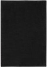 5' X 7' Black Stain Resistant Indoor Outdoor Area Rug - Homeroots - Flyclothing LLC