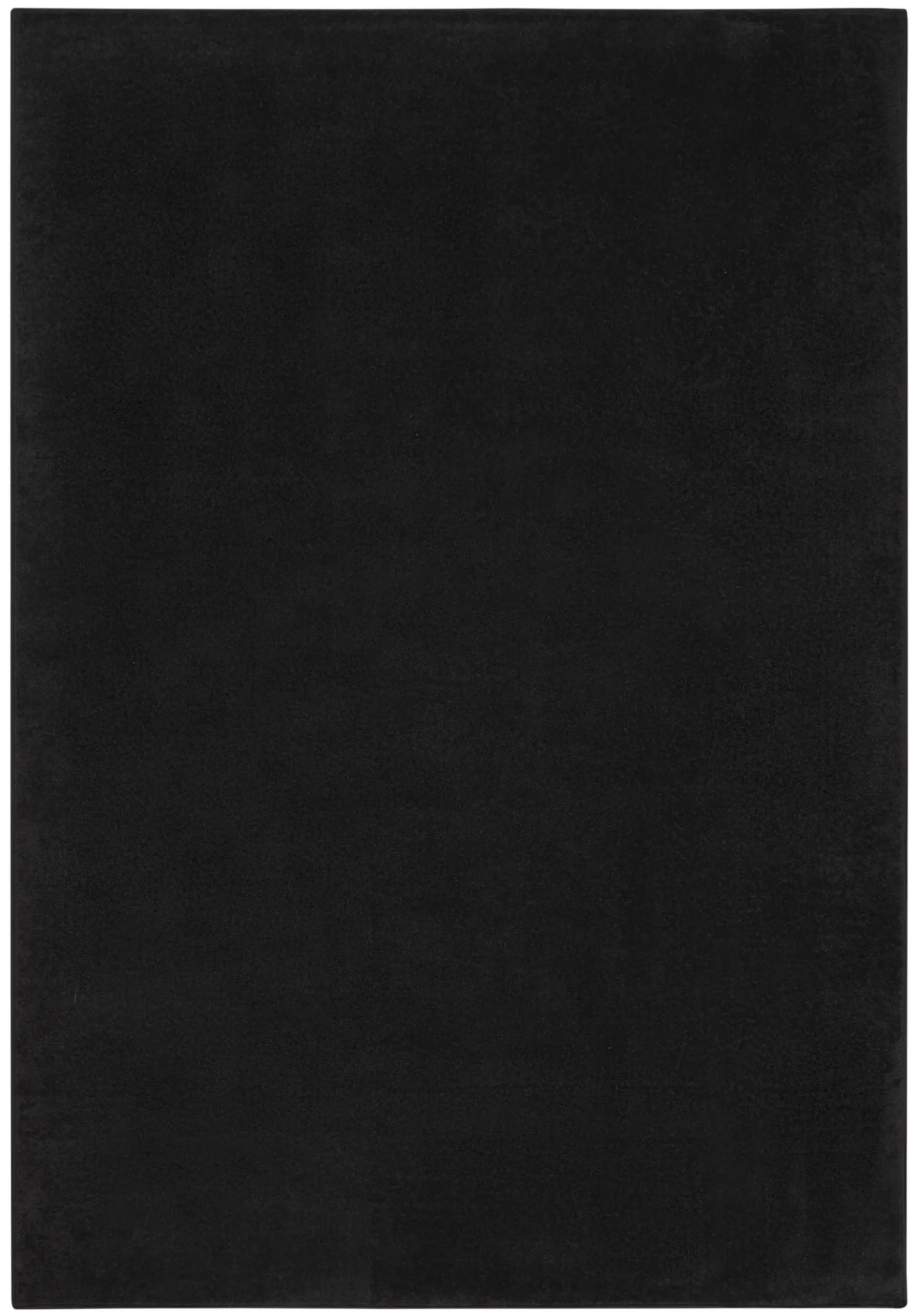 5' X 7' Black Stain Resistant Indoor Outdoor Area Rug - Homeroots - Flyclothing LLC