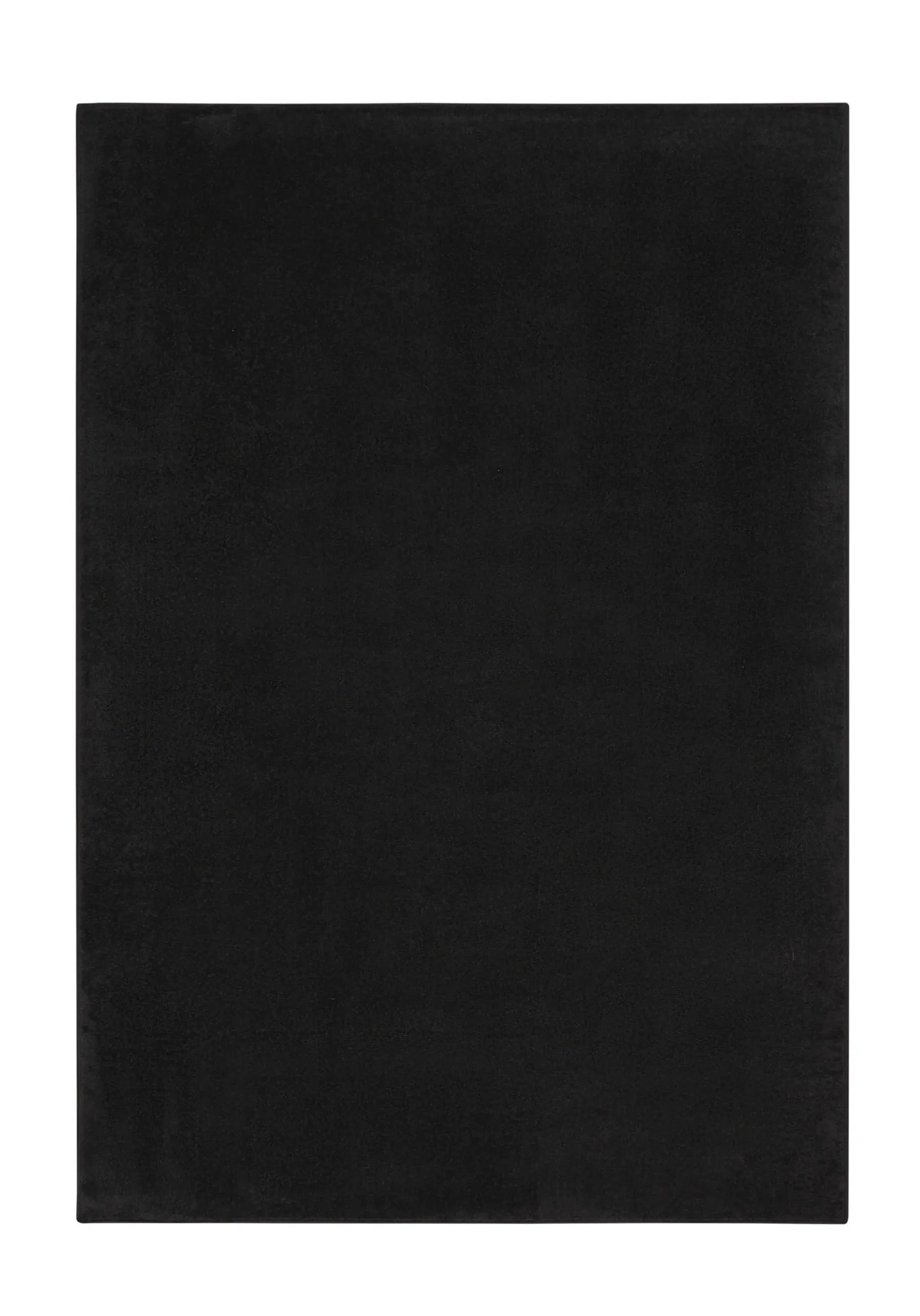7' X 10' Black Stain Resistant Indoor Outdoor Area Rug - Homeroots - Flyclothing LLC