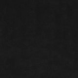 8' X 10' Black Stain Resistant Indoor Outdoor Area Rug - Homeroots - Flyclothing LLC