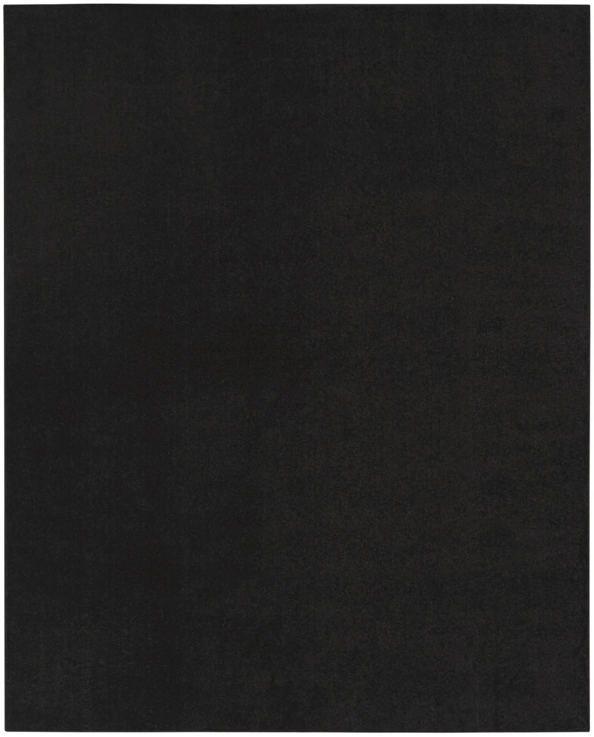 8' X 10' Black Stain Resistant Indoor Outdoor Area Rug - Homeroots - Flyclothing LLC
