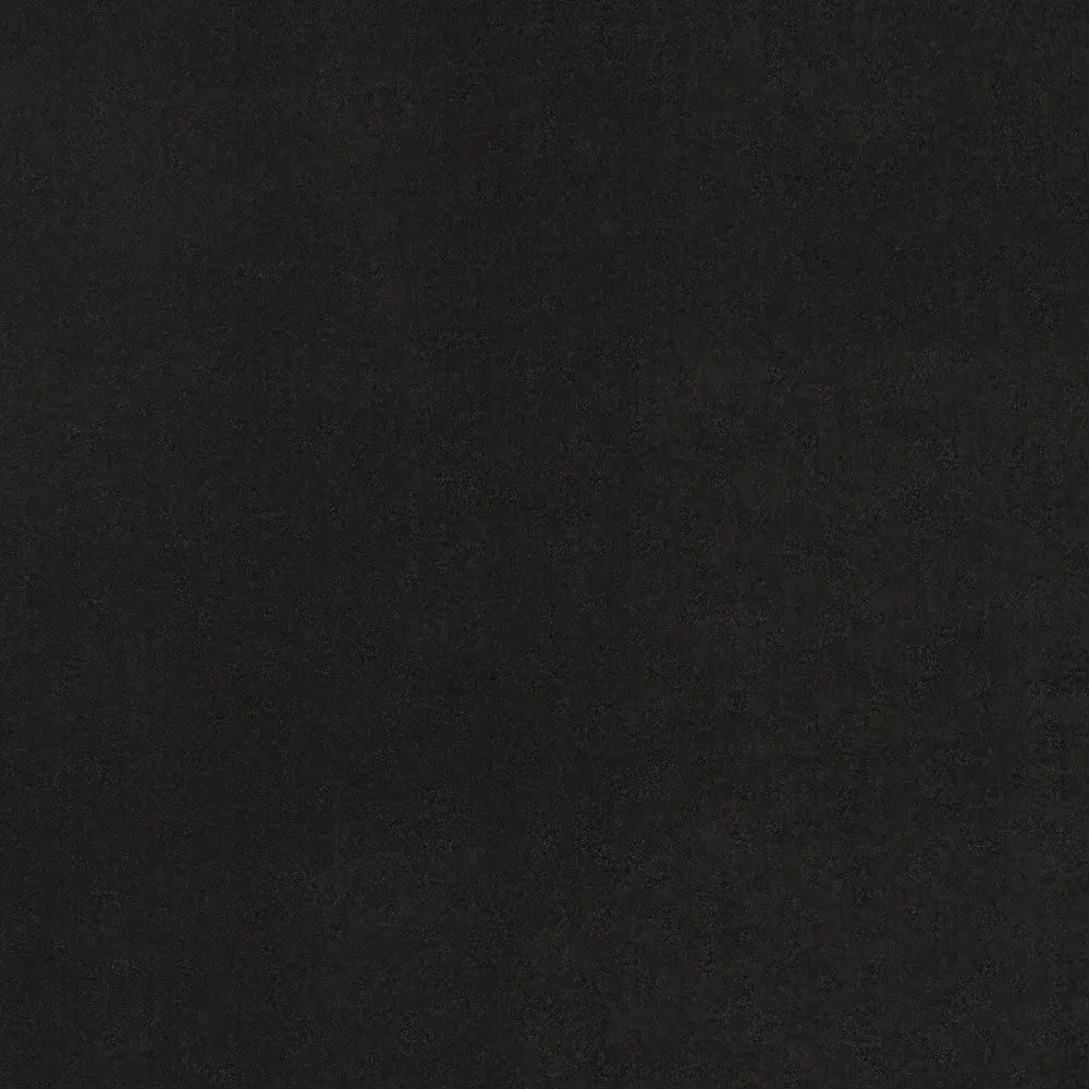 9' X 12' Black Stain Resistant Indoor Outdoor Area Rug - Homeroots - Flyclothing LLC