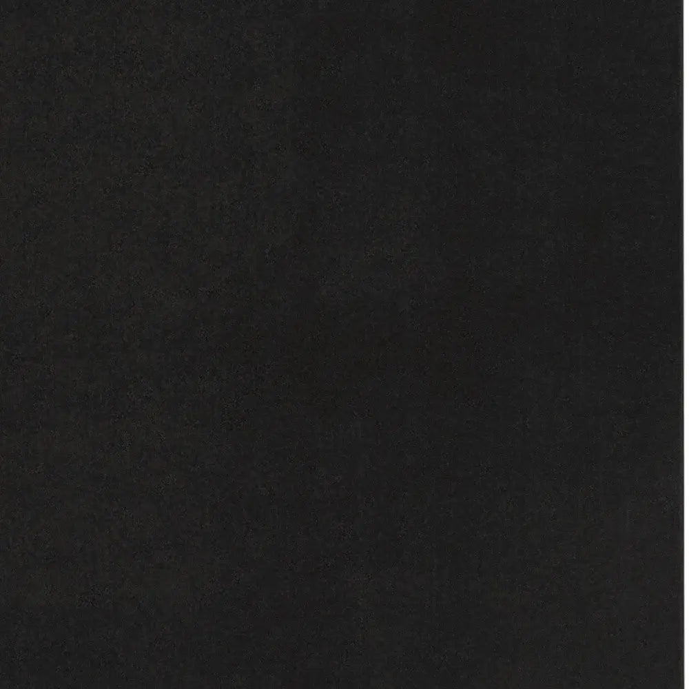 9' X 12' Black Stain Resistant Indoor Outdoor Area Rug - Homeroots - Flyclothing LLC