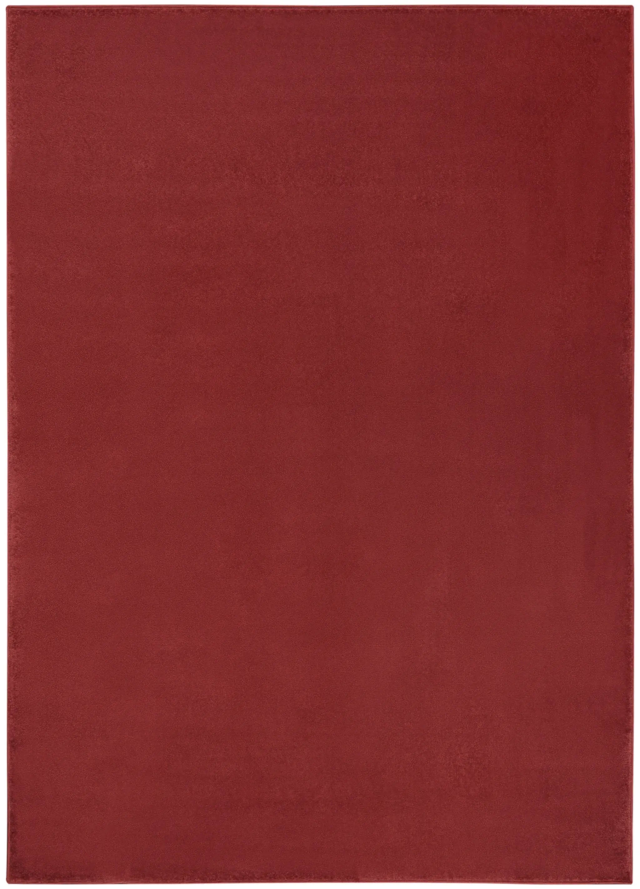 4' X 6' Brick Red Stain Resistant Indoor Outdoor Area Rug - Homeroots - Flyclothing LLC