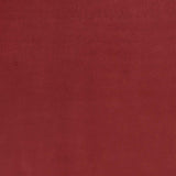 4' X 6' Brick Red Stain Resistant Indoor Outdoor Area Rug - Homeroots - Flyclothing LLC