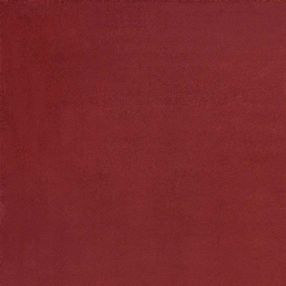 5' X 7' Brick Red Stain Resistant Indoor Outdoor Area Rug - Homeroots - Flyclothing LLC