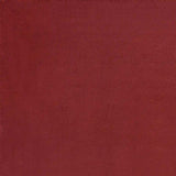 5' X 7' Brick Red Stain Resistant Indoor Outdoor Area Rug - Homeroots - Flyclothing LLC