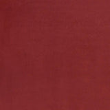 6' X 9' Brick Red Stain Resistant Indoor Outdoor Area Rug - Homeroots