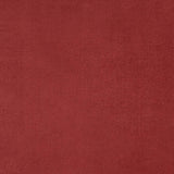 7' X 10' Brick Red Stain Resistant Indoor Outdoor Area Rug - Homeroots - Flyclothing LLC