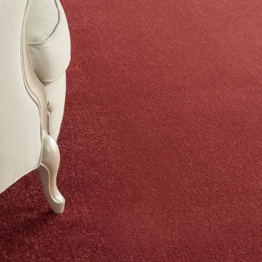 7' X 10' Brick Red Stain Resistant Indoor Outdoor Area Rug - Homeroots - Flyclothing LLC