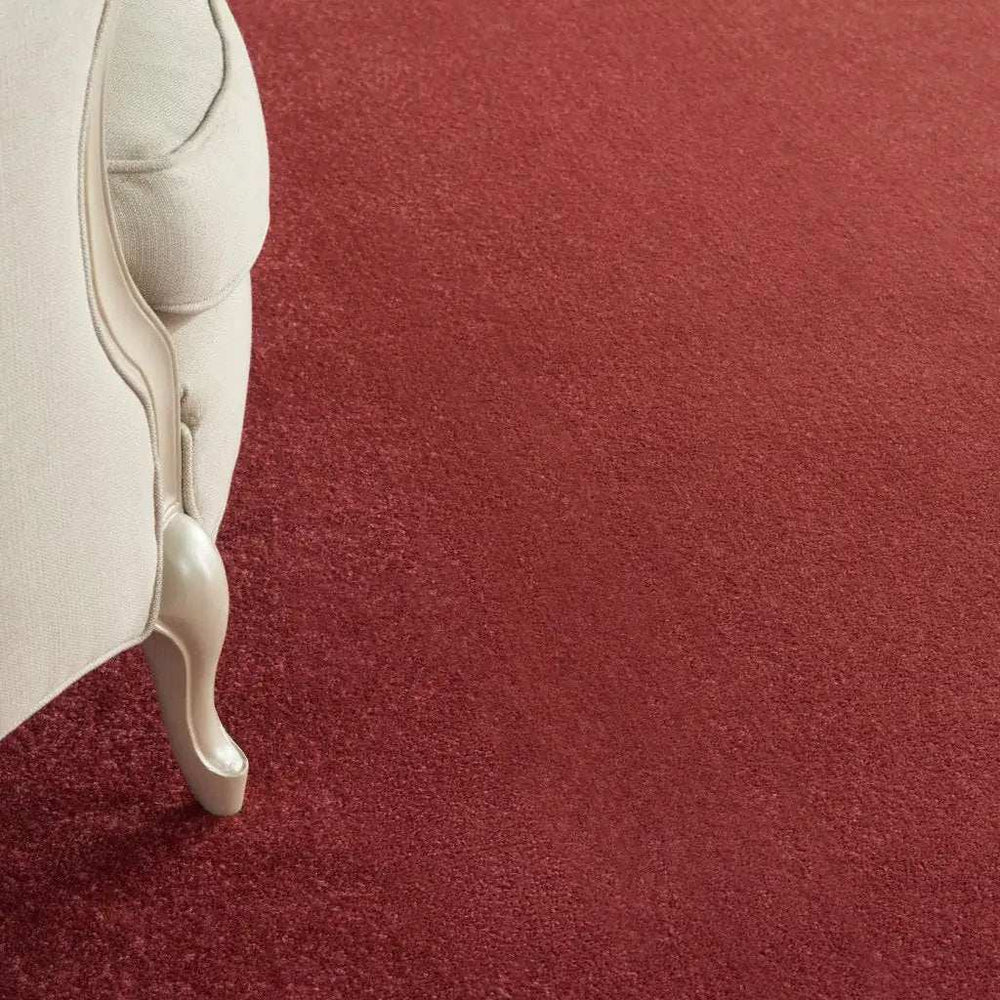 7' X 10' Brick Red Stain Resistant Indoor Outdoor Area Rug - Homeroots - Flyclothing LLC