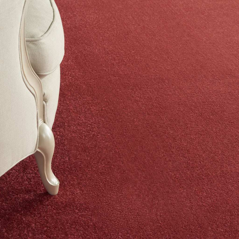 8' X 10' Brick Red Stain Resistant Indoor Outdoor Area Rug - Homeroots - Flyclothing LLC