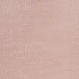 6' X 9' Pink Indoor Outdoor Area Rug - Homeroots - Flyclothing LLC