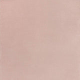 8' X 10' Pink Non Skid Indoor Outdoor Area Rug - Homeroots - Flyclothing LLC