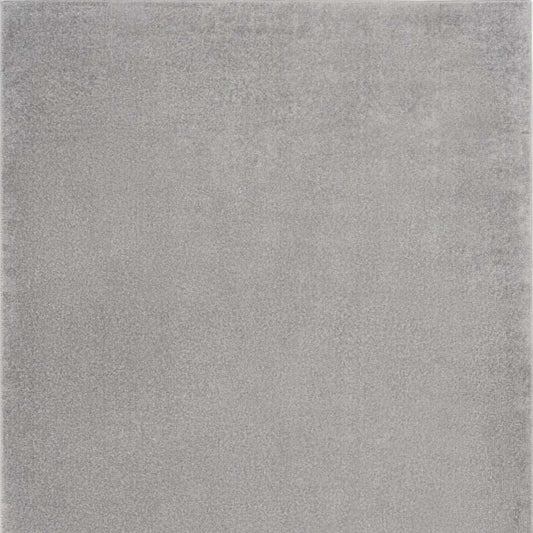 6' X 9' Silver Grey Indoor Outdoor Area Rug - Homeroots - Flyclothing LLC