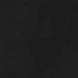 3' X 5' Black Stain Resistant Indoor Outdoor Area Rug - Homeroots - Flyclothing LLC