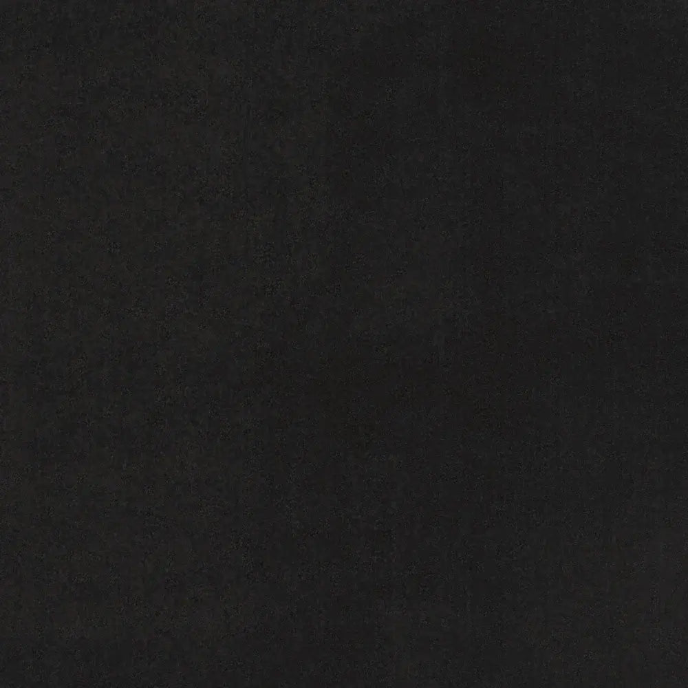 3' X 5' Black Stain Resistant Indoor Outdoor Area Rug - Homeroots - Flyclothing LLC