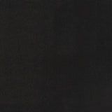 3' X 5' Black Stain Resistant Indoor Outdoor Area Rug - Homeroots
