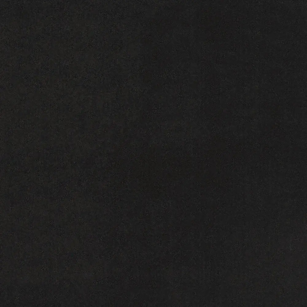 3' X 5' Black Stain Resistant Indoor Outdoor Area Rug - Homeroots - Flyclothing LLC
