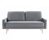 72" Gray Velvet Sofa With Brass Legs - Homeroots - Flyclothing LLC