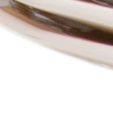 White Four Piece Scallop Stoneware Service For Four Dinner Plate Set - Homeroots - Flyclothing LLC