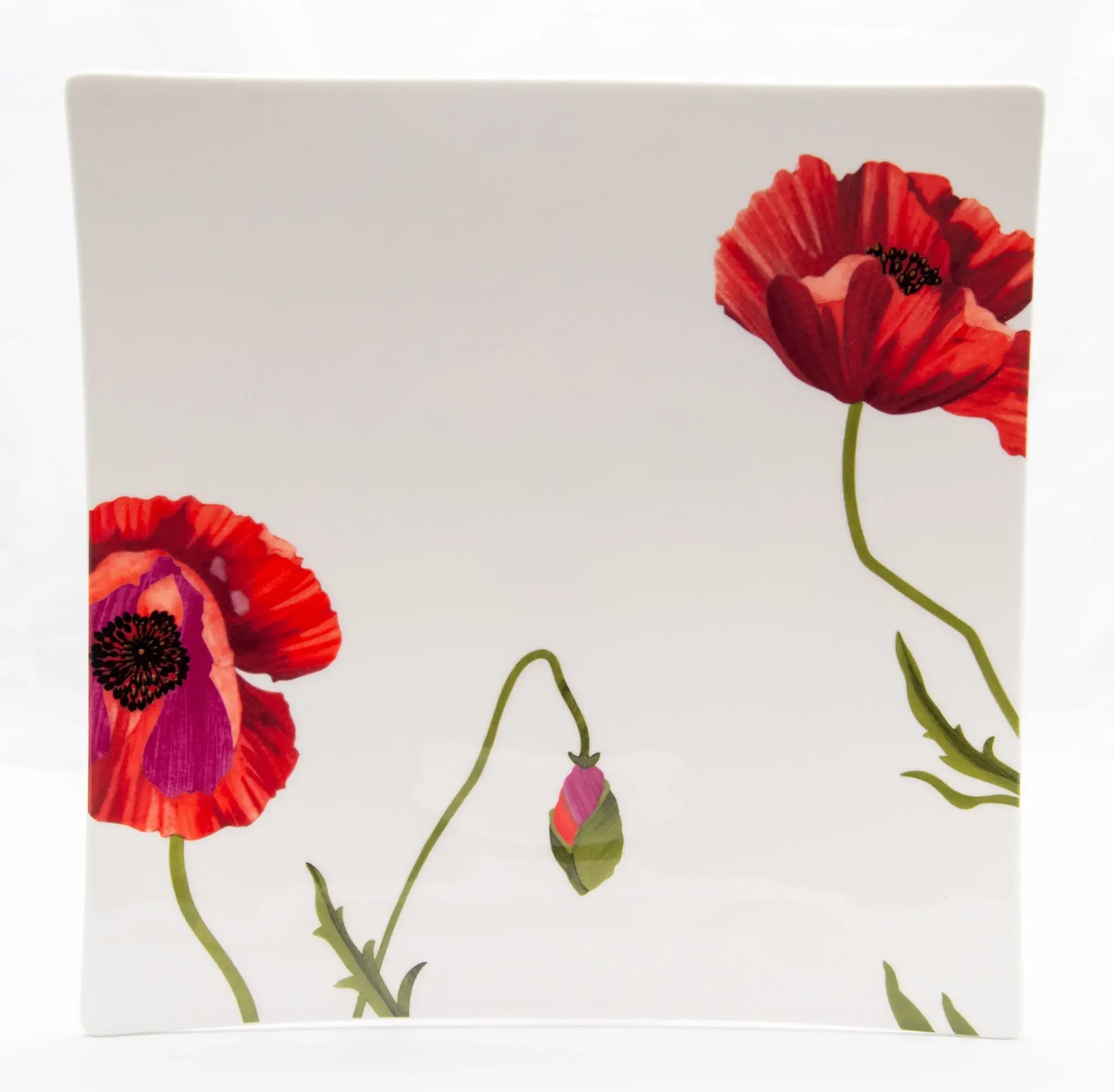 Red and White Six Piece Square Floral Bone China Service For Six Dinner Plate Set - Homeroots - Flyclothing LLC