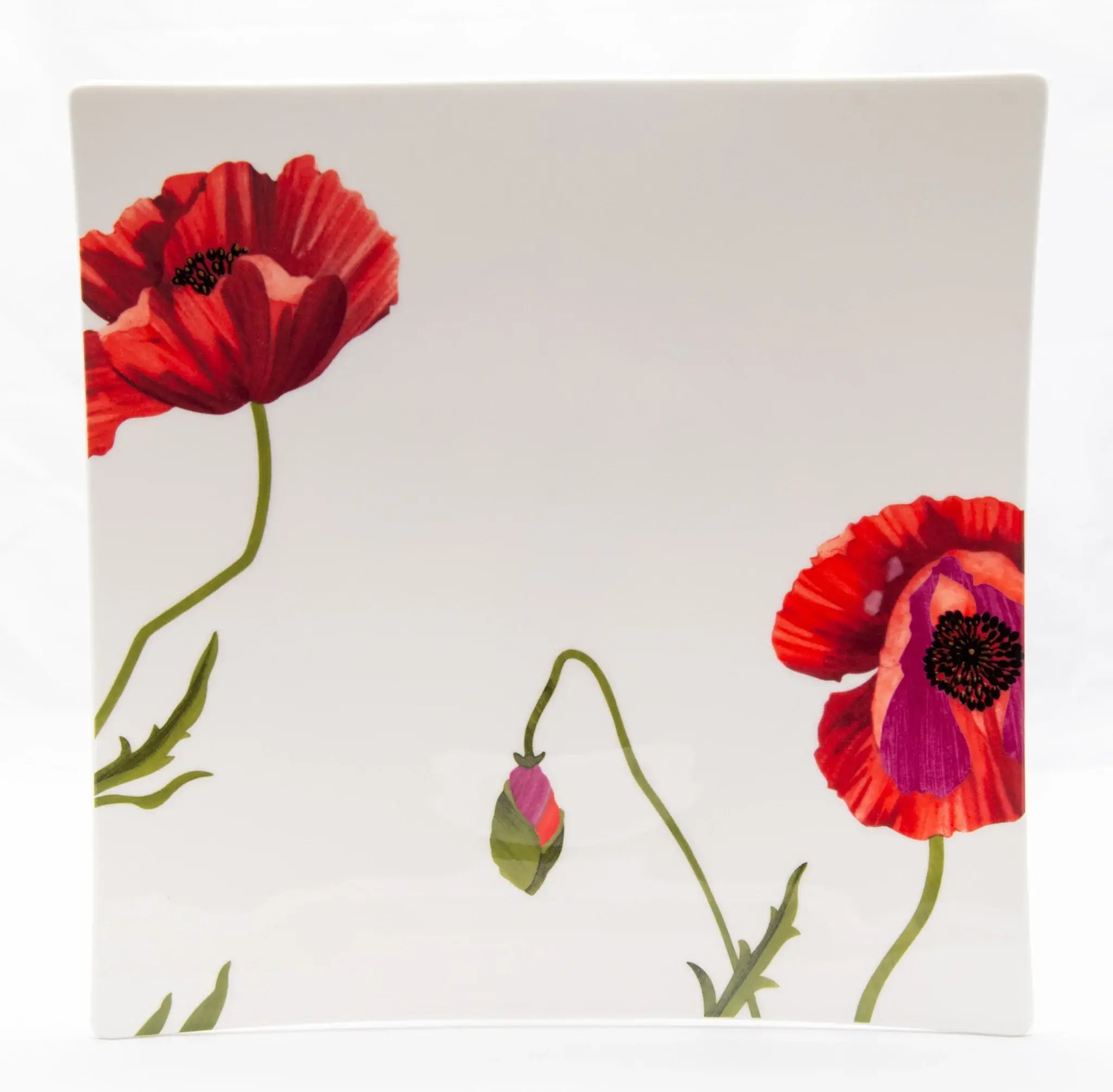 Red and White Six Piece Square Floral Bone China Service For Six Dinner Plate Set - Homeroots - Flyclothing LLC