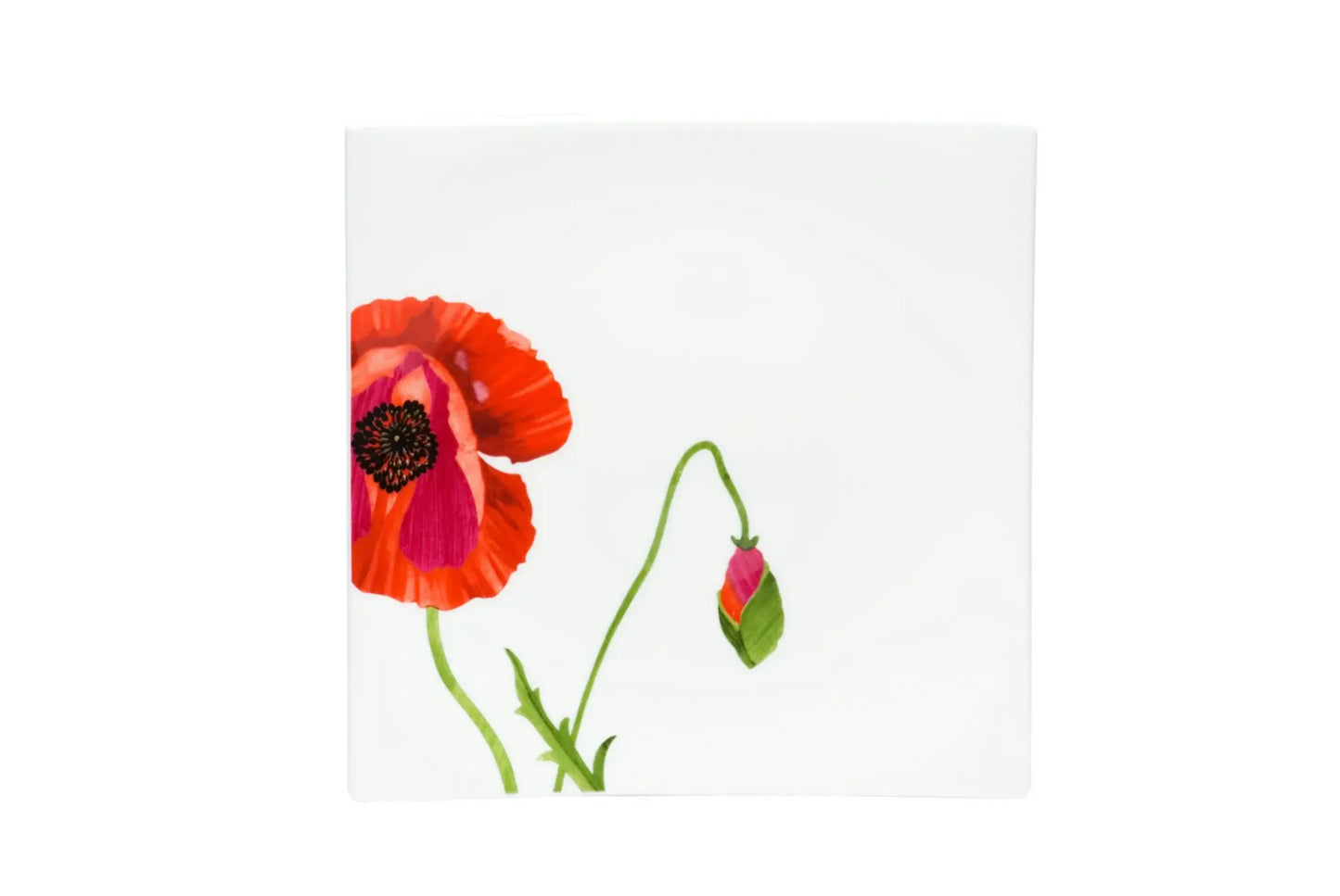 Red and White Six Piece Square Floral Bone China Service For Six Salad Plate Set - Homeroots - Flyclothing LLC