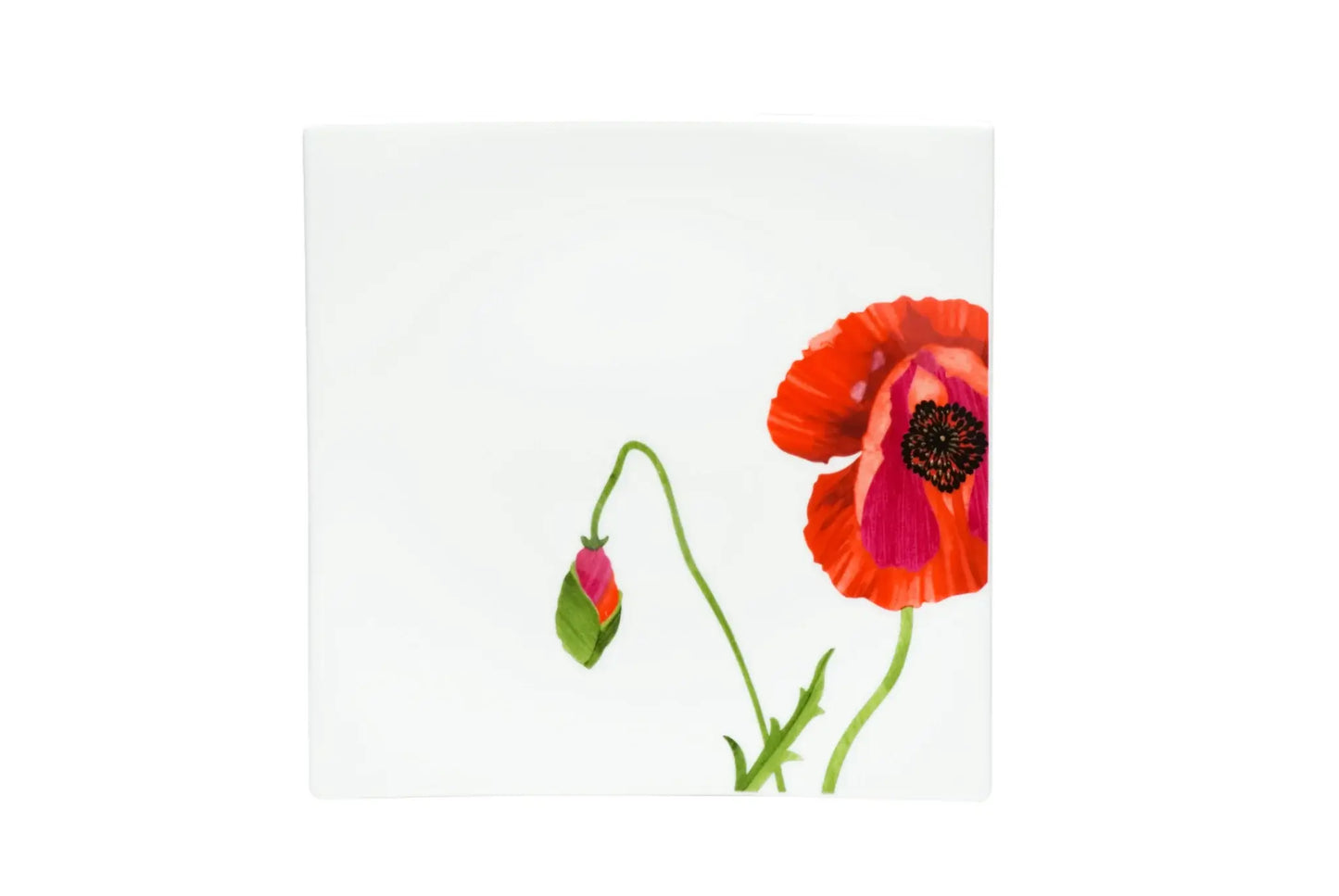 Red and White Six Piece Square Floral Bone China Service For Six Salad Plate Set - Homeroots - Flyclothing LLC