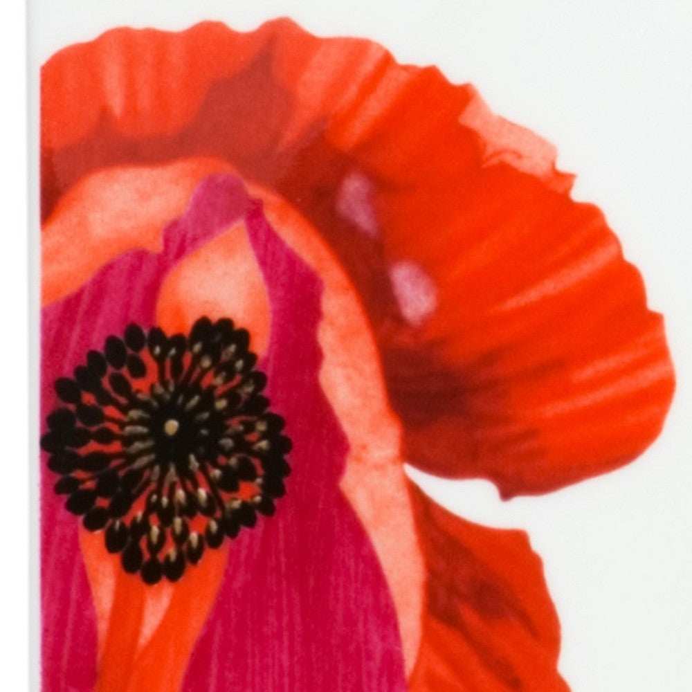 Red and White Six Piece Square Floral Bone China Service For Six Salad Plate Set - Homeroots - Flyclothing LLC