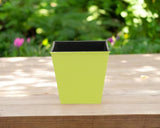 5" Lime Green Recycled Plastic Indoor Outdoor Rectangular Pot Planter - Homeroots - Flyclothing LLC