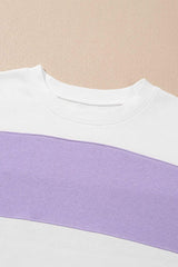 Color Block Round Neck Long Sleeve Sweatshirt - Trendsi - Flyclothing LLC