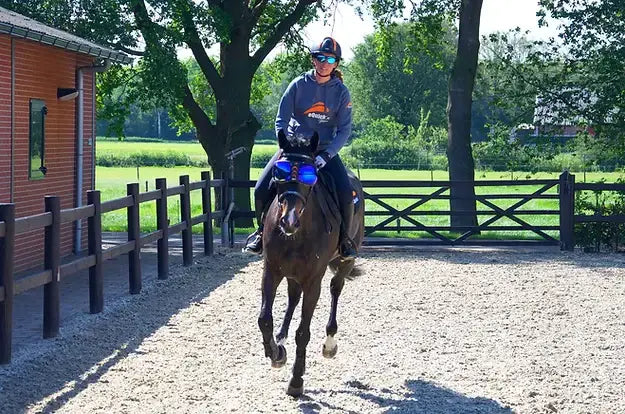 eQuick eVysor - Breeches.com - Flyclothing LLC