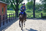 eQuick eVysor - Breeches.com - Flyclothing LLC