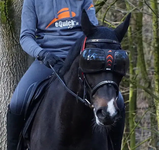 eQuick eVysor - Breeches.com - Flyclothing LLC